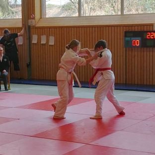 Bezirksmeisterschaften Judo 2018 - 18.jpg