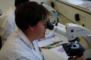 Labortag Bio-LK-07.JPG