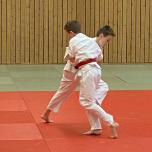 Schulsportmeisterschaften Judo7.jpg