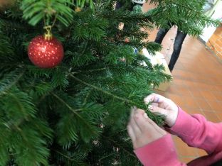 Weihnachtsbaum_2018-12.jpg