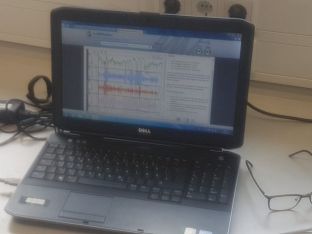 Biokurse arbeiten am Gehirn - 02.JPG