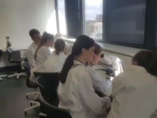 Biokurse arbeiten am Gehirn - 06.JPG