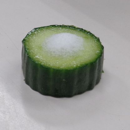 Experiment1.JPG