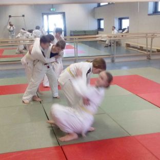 Judopruefung_Randori.jpg