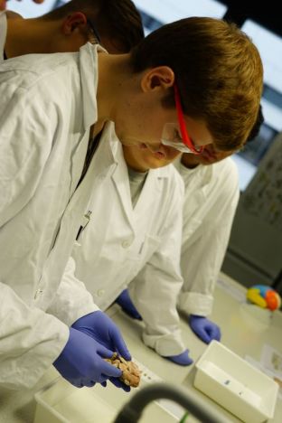 Labortag Bio-LK-18.JPG