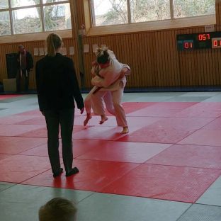 Bezirksmeisterschaften Judo 2018 - 23.jpg