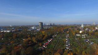 DJI_0129.jpg