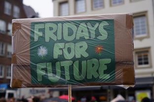 Fridays For Future 2019-02.JPG