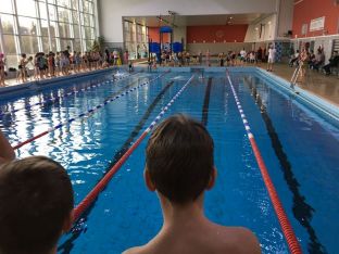 Nikolausschwimmen 2017-06.jpg