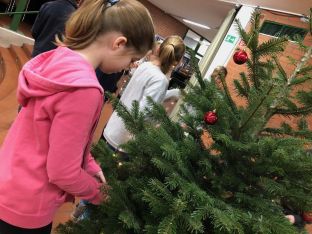 Weihnachtsbaum_2018-15.jpg