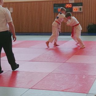 Bezirksmeisterschaften Judo 2018 - 11.jpg