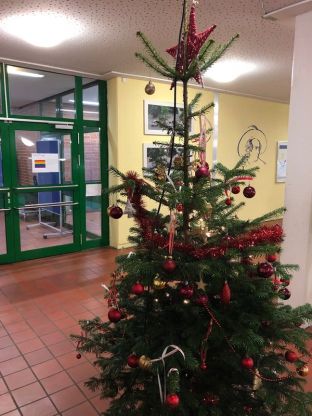 Weihnachtsbaum_2018-36.jpg