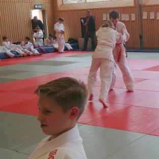 Bezirksmeisterschaften Judo 2018 - 17.jpg
