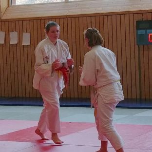 Bezirksmeisterschaften Judo 2018 - 22.jpg