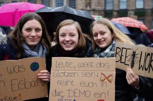 Fridays For Future 2019-05.JPG