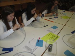 IMG_1461.jpg