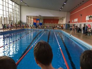 Nikolausschwimmen 2017-05.jpg