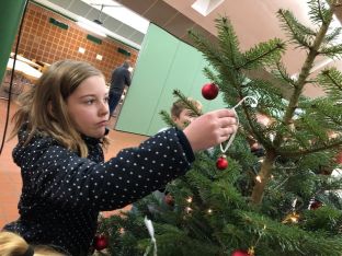 Weihnachtsbaum_2018-24.jpg