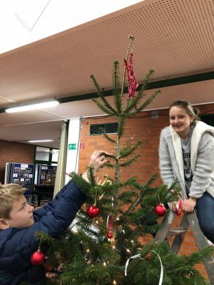 Weihnachtsbaum_2018-33.jpg