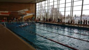 Nikolausschwimmen 2017-11.JPG