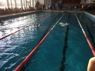 Nikolausschwimmen 2017-03.jpg