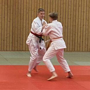 Schulsportmeisterschaften Judo3.jpg