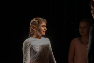 Shakespeare Sommernachtstraum 20190315-66.jpg