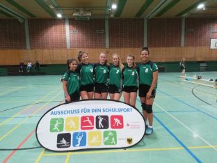 Volleyball Stadtmeister Maedchen-02.JPG