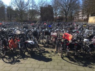 Hollandaustausch 2017 - 07.jpg