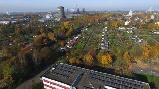 DJI_0132.jpg