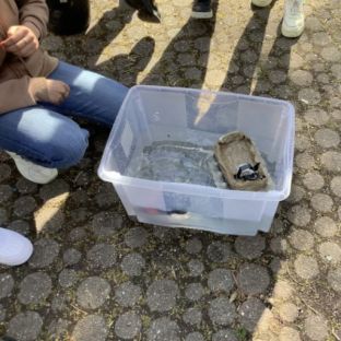 Konstruktionswettbewerb6.jpeg