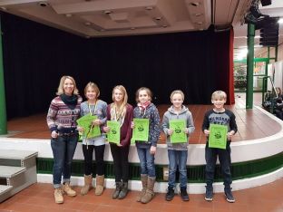 Nikolausschwimmen 2017-17.JPG