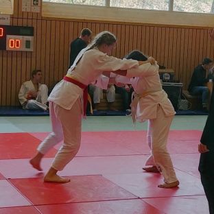 Bezirksmeisterschaften Judo 2018 - 20.jpg