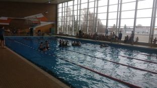 Nikolausschwimmen 2017-09.JPG