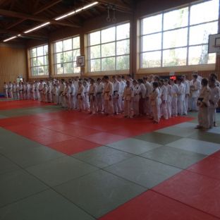 Bezirksmeisterschaften Judo 2018 - 01.jpg
