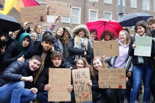 Fridays For Future 2019-11.JPG