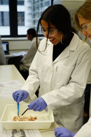 Labortag Bio-LK-10.JPG