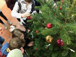Weihnachtsbaum_2018-29.jpg