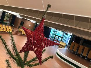 Weihnachtsbaum_2018-32.jpg