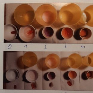 Enzyme arbeiten.jpg