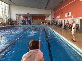 Nikolausschwimmen 2017-02.jpg