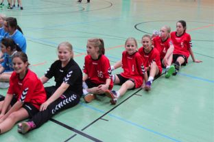 Handball-20.12.16 019 (Large).jpg