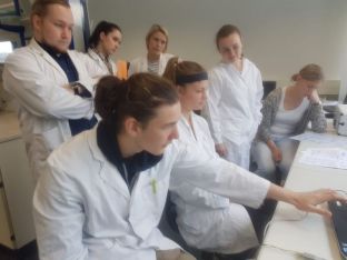 Biokurse arbeiten am Gehirn - 05.JPG