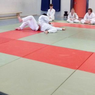 Judopruefung_Kesa-gatame.jpg