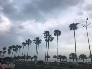 Katar 2018-37.jpg