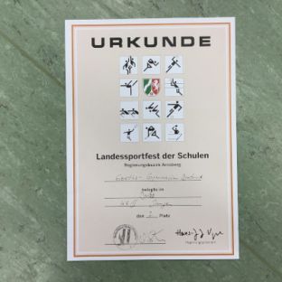 Schulsportmeisterschaften Judo11.jpeg