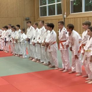 Schulsportmeisterschaften Judo2.jpeg