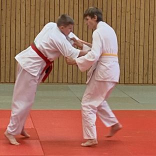 Schulsportmeisterschaften Judo5.jpg