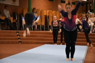Siegelverleihung Eliteschule des Sports 15.JPG